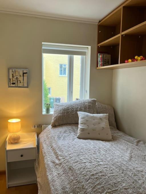 Charming 3 Bedroom Apartment Акурейри Екстериор снимка